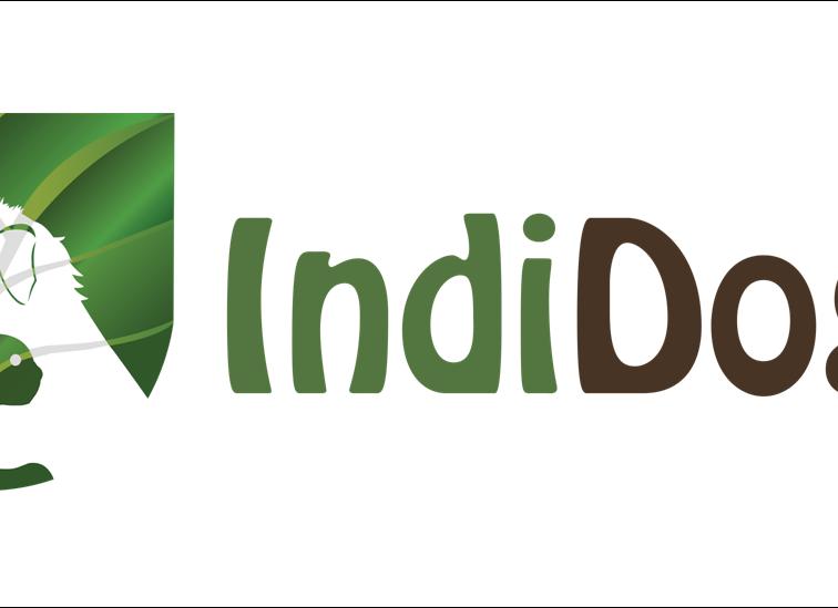 INDIDOGS. Botiga i perruqueria canina